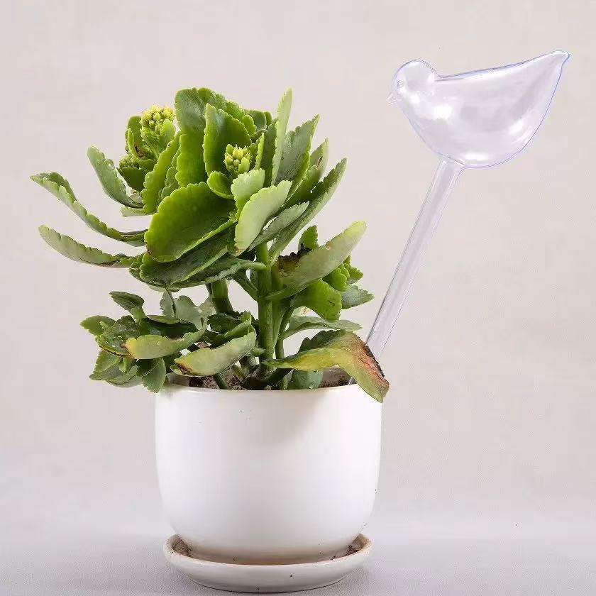4/8-delige glazen look automat - Automatic Plant Watering Spikes Drip Kit recensie en prijs