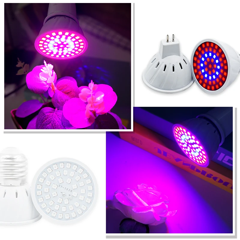 Phyto Lamp Volledige Spectrum  - Plant Grow Light Full Spectrum Clip On recensie en prijs