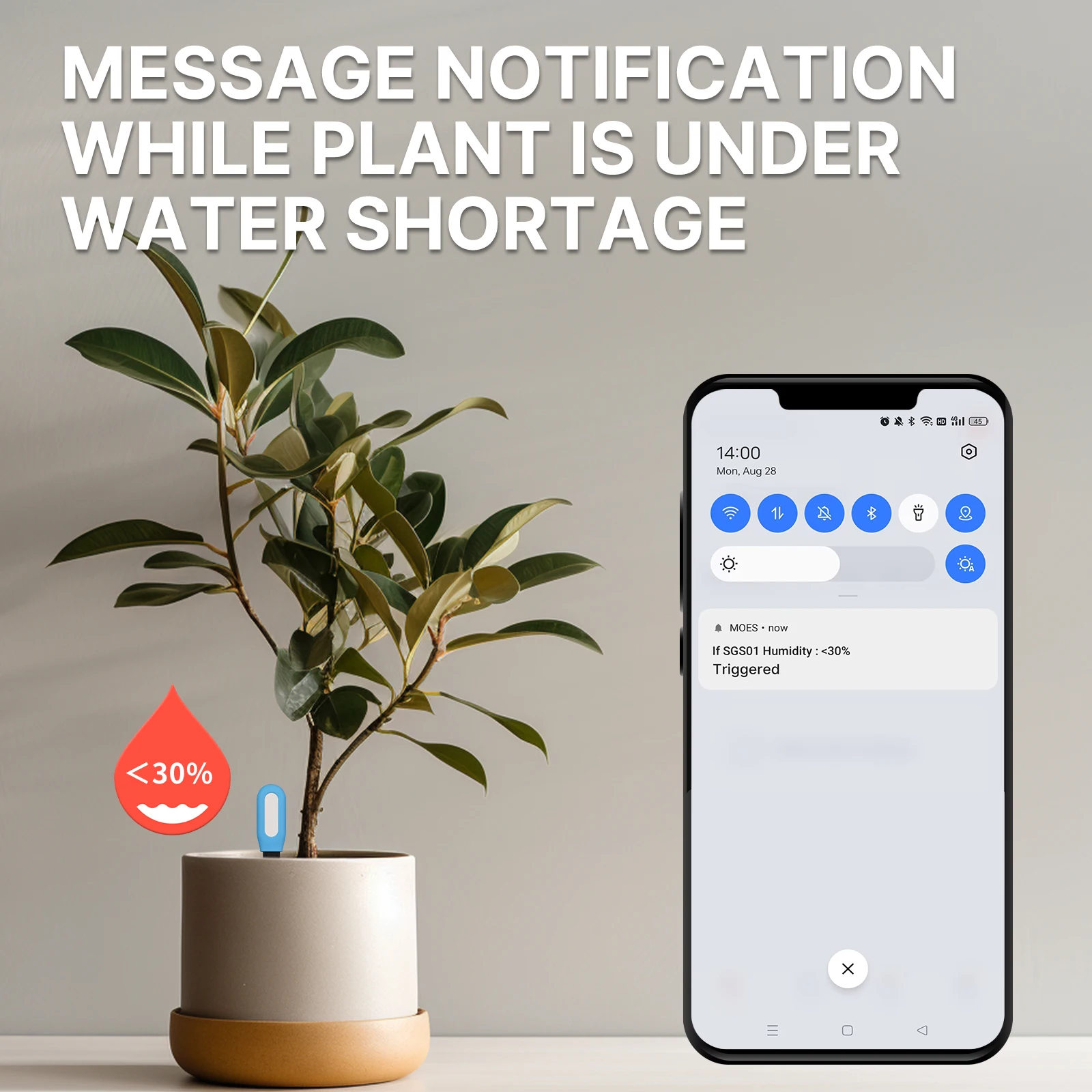 MOES Slimme Bluetooth Bodemtes - Smart Plant Sensor Soil Moisture Meter recensie en prijs