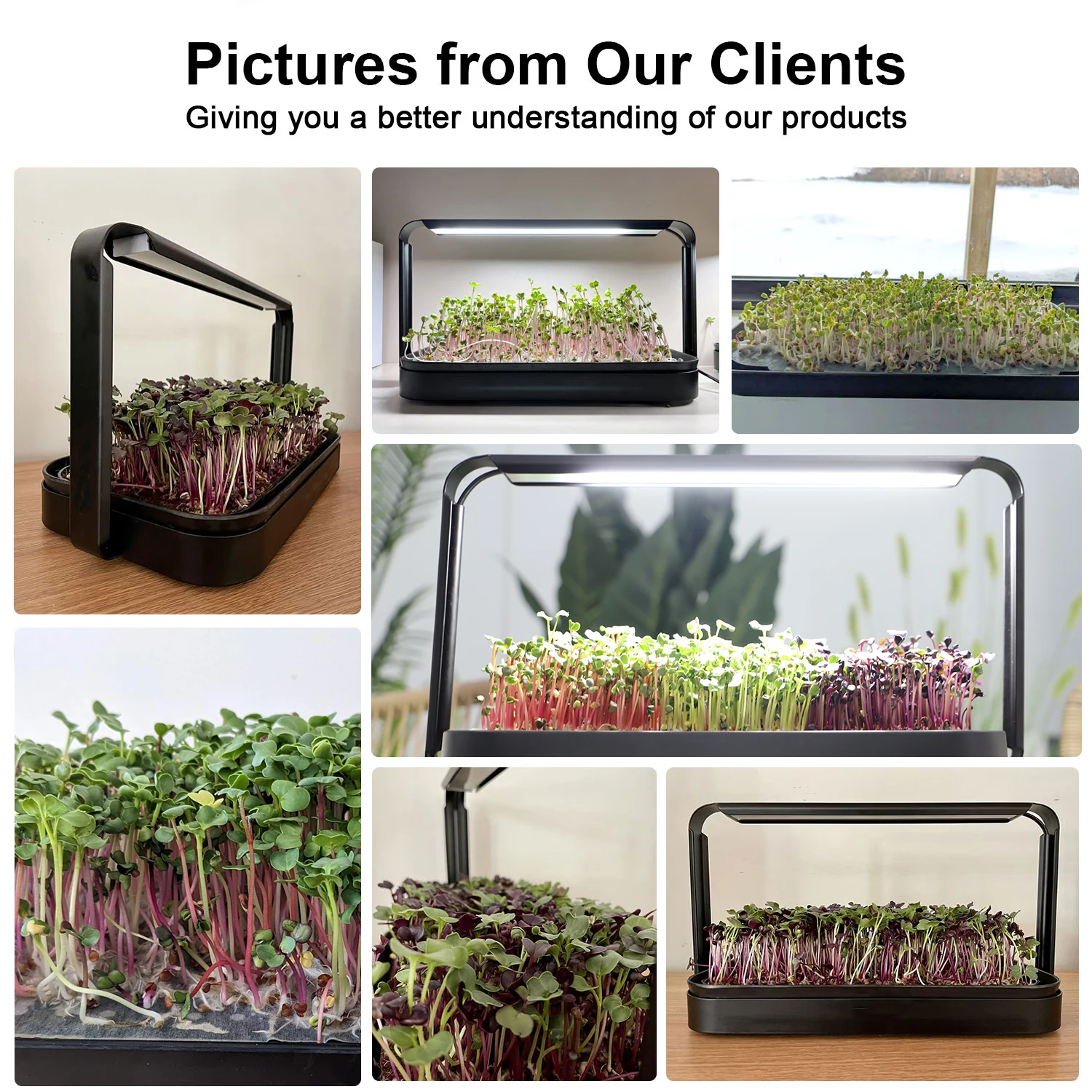 2026 Indoor Home Growing Syste - Indoor Herb Garden Grow Light Smart Kit recensie en prijs