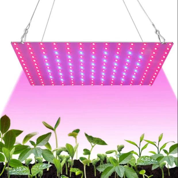 LED-plantengroeilicht Volledig - Plant Grow Light Full Spectrum Clip On recensie en prijs