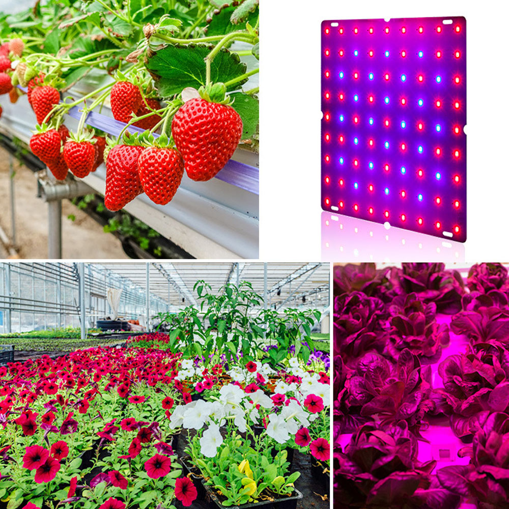LED-plantengroeilicht Volledig - Plant Grow Light Full Spectrum Clip On recensie en prijs