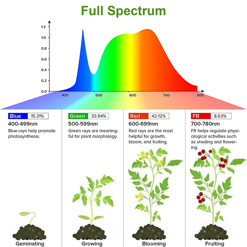 1/2/3/4Head Led Grow Light Str - Plant Grow Light Full Spectrum Clip On recensie en prijs
