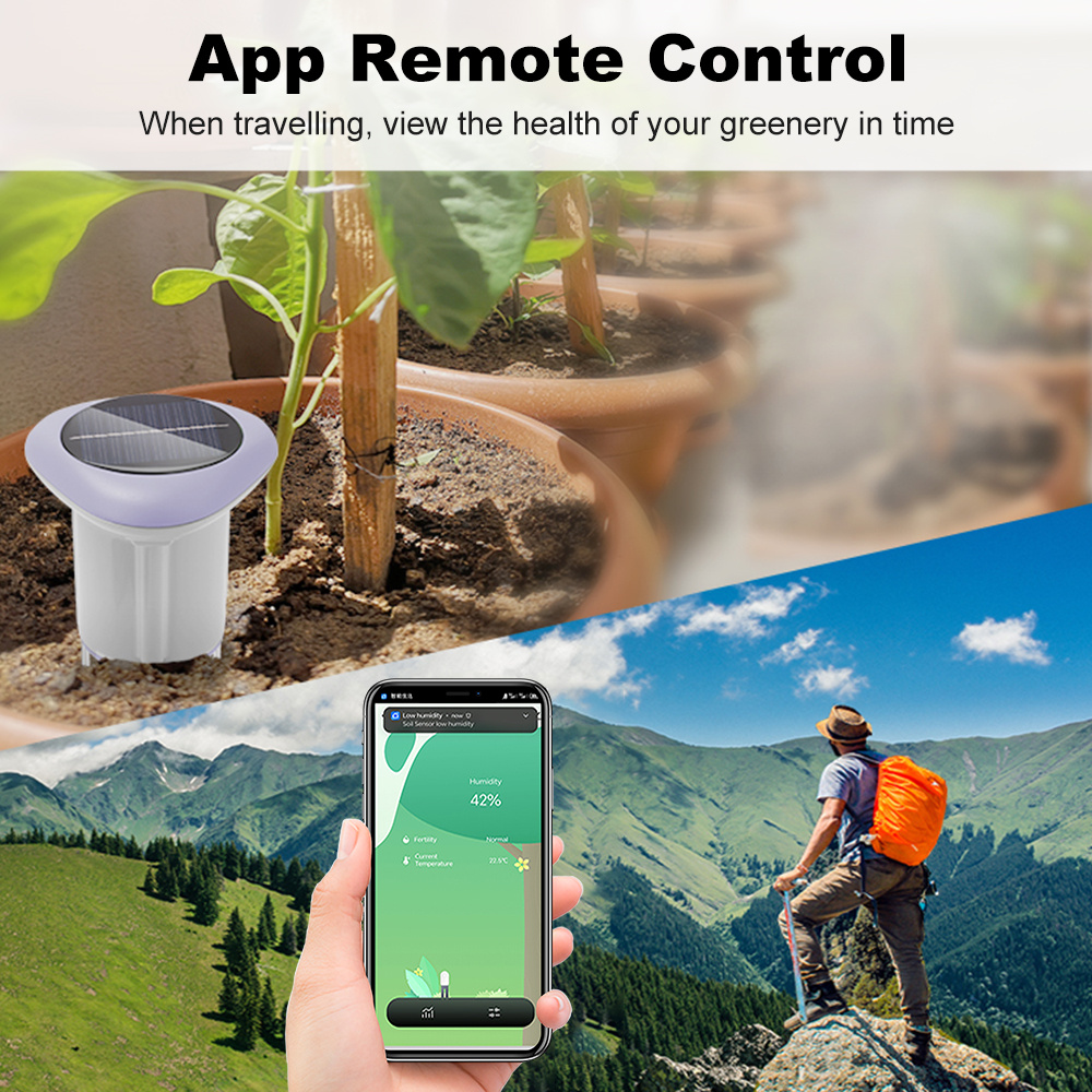 Zigbee Solar Bodemsensor Teste - Smart Plant Sensor Soil Moisture Meter recensie en prijs