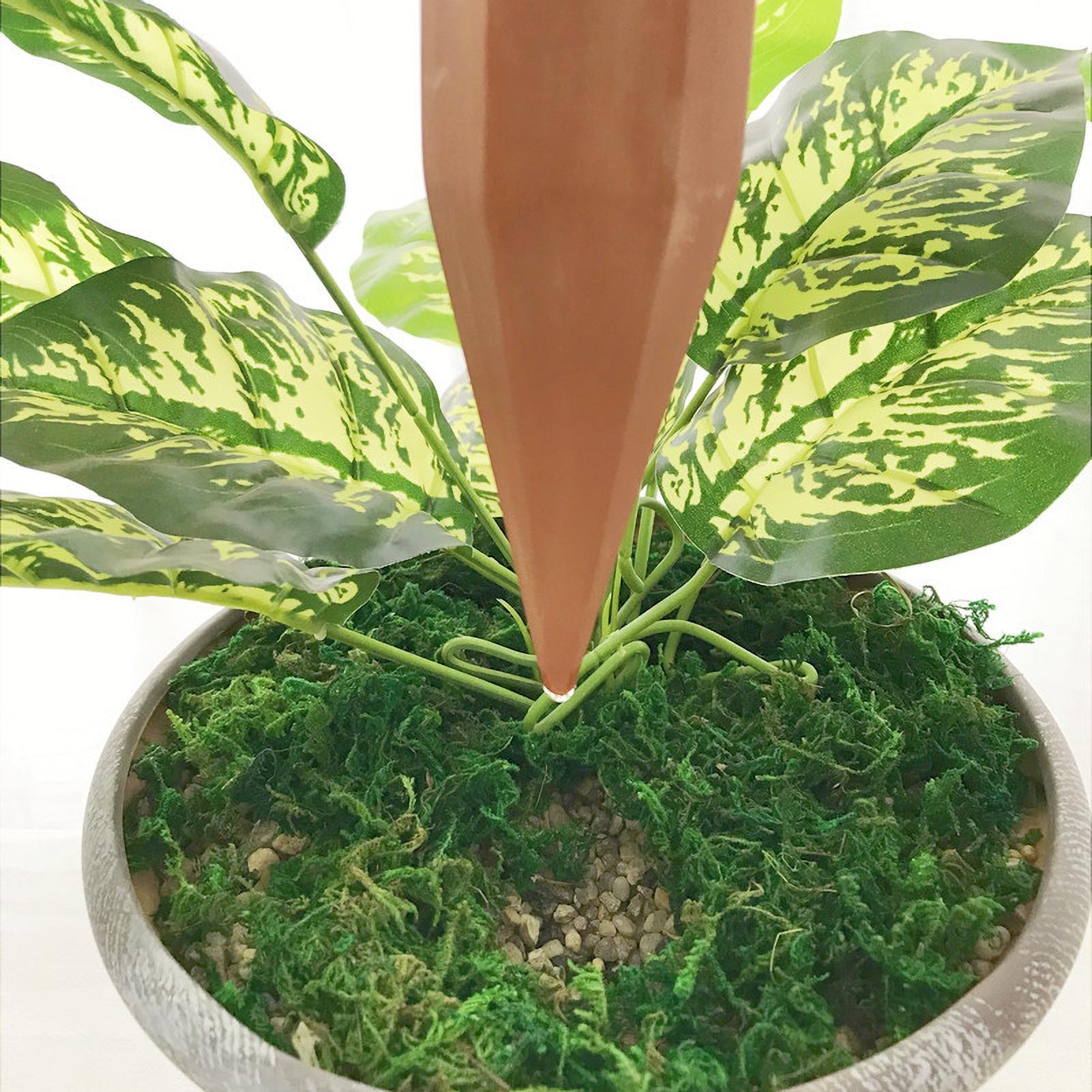 Watering Stakes Verticale auto - Automatic Plant Watering Spikes Drip Kit recensie en prijs