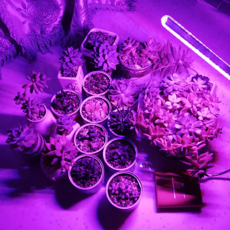10 W Led Grow Light USB Draagb - Plant Grow Light Full Spectrum Clip On recensie en prijs