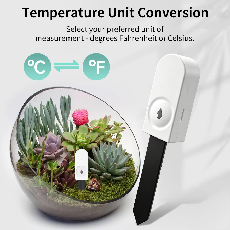 Zigbee 3.0 Plantenmonitor Bode - Tuya Zigbee Soil Moisture Temperature Sensor recensie en prijs