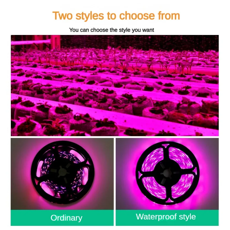 Met Dimbare Schakelaar 5V USB  - Plant Grow Light Full Spectrum Clip On recensie en prijs
