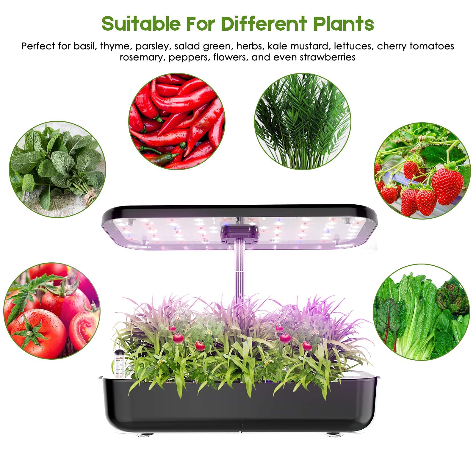 Hydrocultuur kweeksysteem 12-p - Indoor Herb Garden Grow Light Smart Kit recensie en prijs